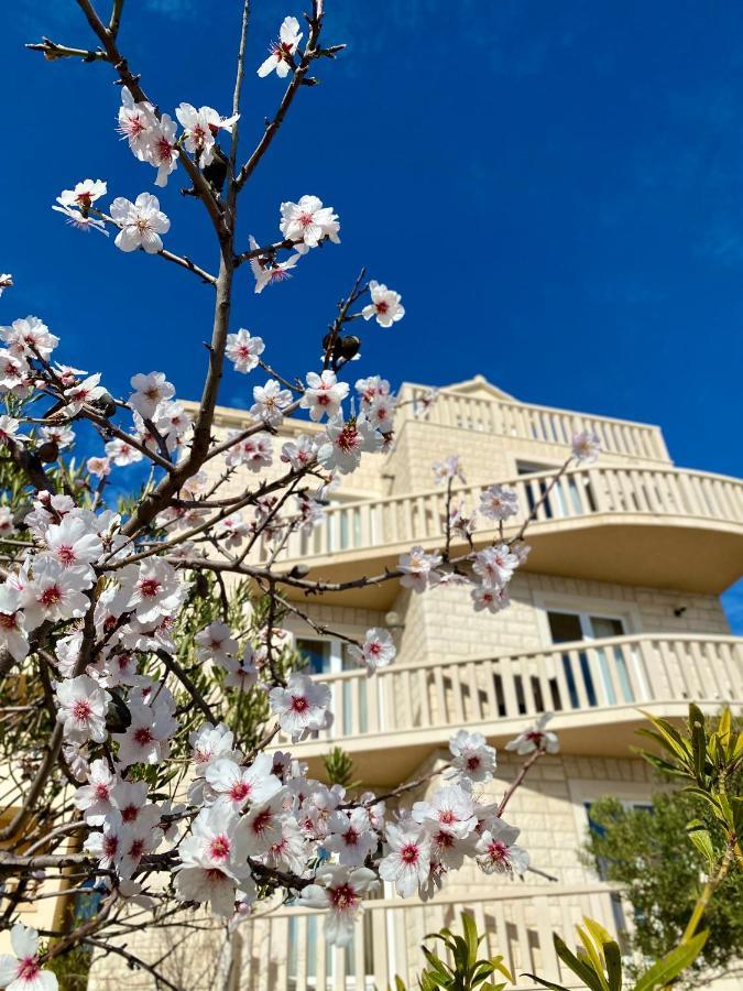 Hotel Villa Dzamonja 波尔 外观 照片